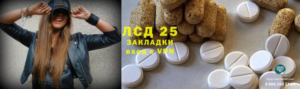 стафф Богданович