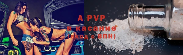 стафф Богданович