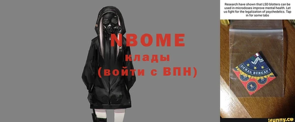 стафф Богданович