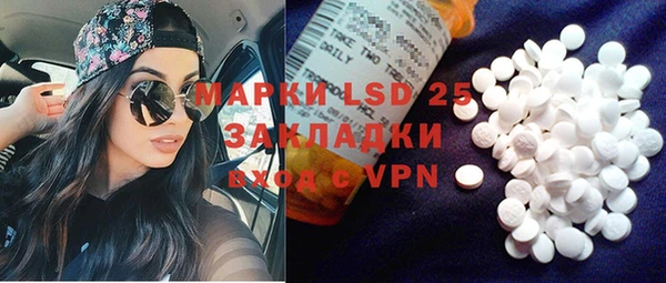 стафф Богданович