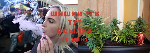стафф Богданович