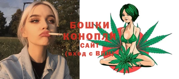тгк Богородицк